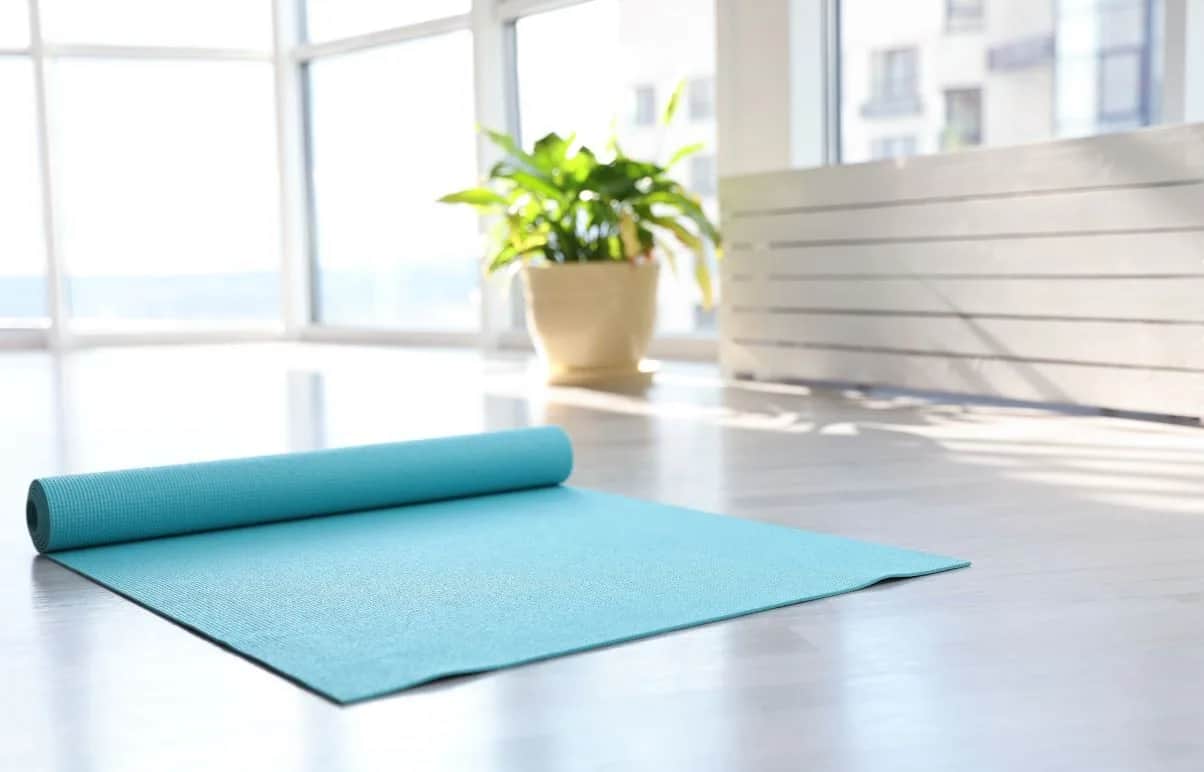 A rolled-out blue yoga mat on a light wooden floor near a large window with sunlight streaming in; a green potted plant is in the background.